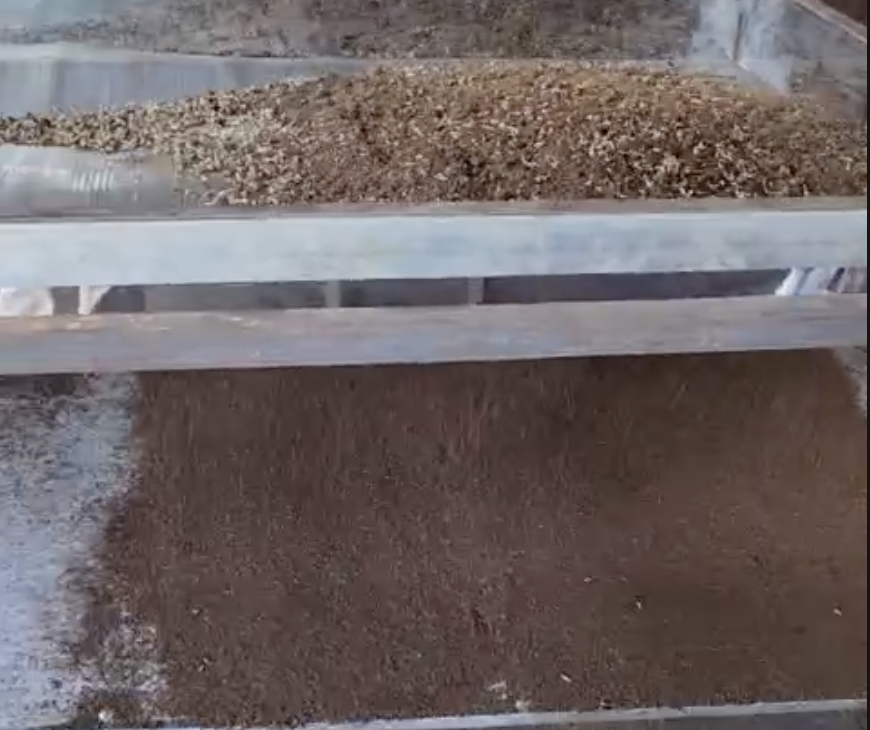 Máy sàng phân loại ấu trùng